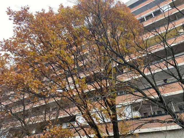 Eladó téglalakás, Szolnokon 32.9 M Ft, 2 szobás