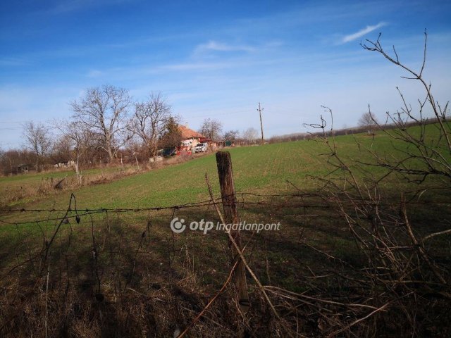 Eladó mezogazdasagi ingatlan, Kecskeméten 39 M Ft