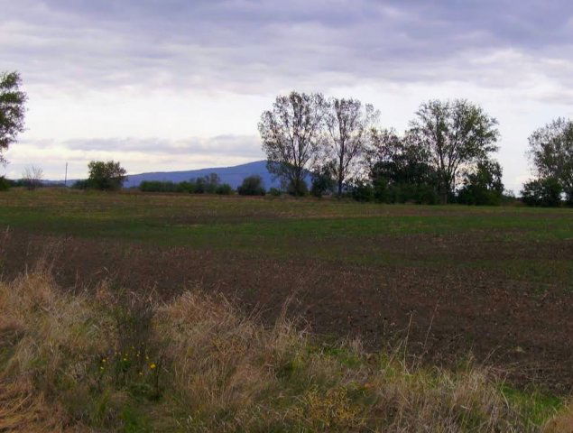 Eladó mezogazdasagi ingatlan, Taktakenézen 3.2 M Ft