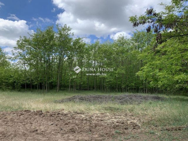 Eladó mezogazdasagi ingatlan, Lajosmizsén 6 M Ft