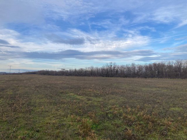 Eladó telek, Bálványoson 320 M Ft / költözzbe.hu