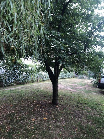 Eladó telek, Nyíregyházán 5.5 M Ft / költözzbe.hu