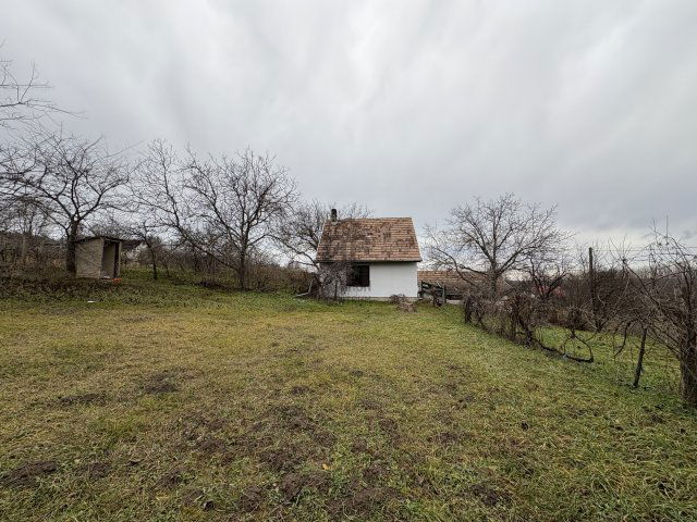 Eladó mezogazdasagi ingatlan, Ádándon 9.9 M Ft