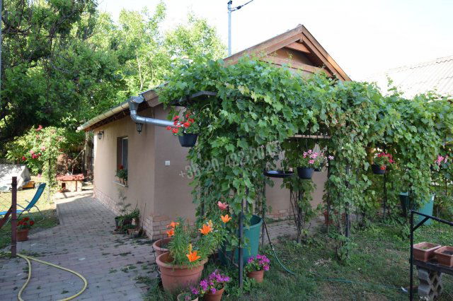Eladó családi ház, Szigethalmon 52.5 M Ft, 4 szobás