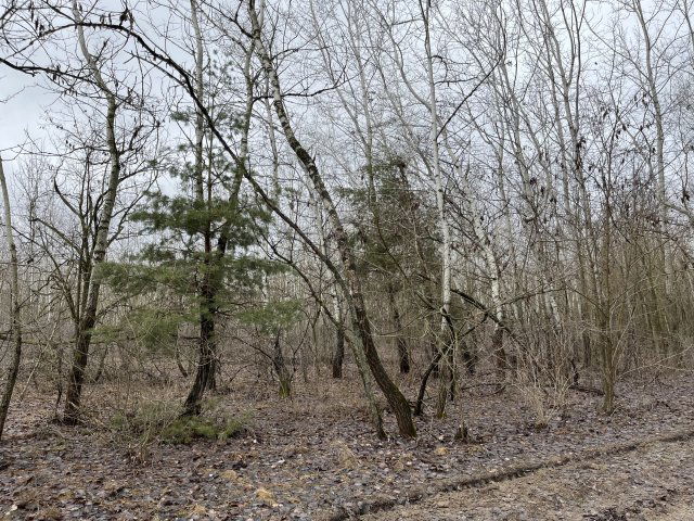 Eladó telek, Orgoványon 12 M Ft / költözzbe.hu