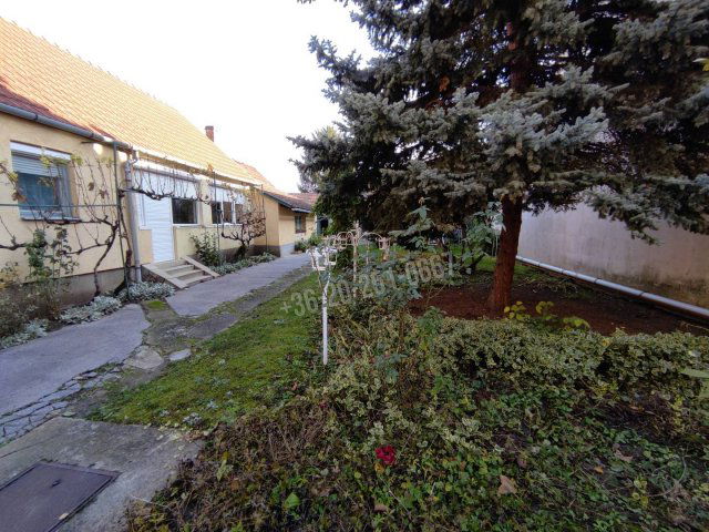 Eladó családi ház, Mohácson 50 M Ft, 4 szobás