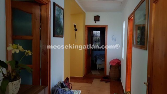Kiadó családi ház, albérlet, Pécsett, Vöröskő utcában