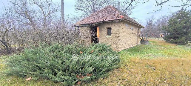 Eladó családi ház, Csongrádon 3.49 M Ft, 1 szobás