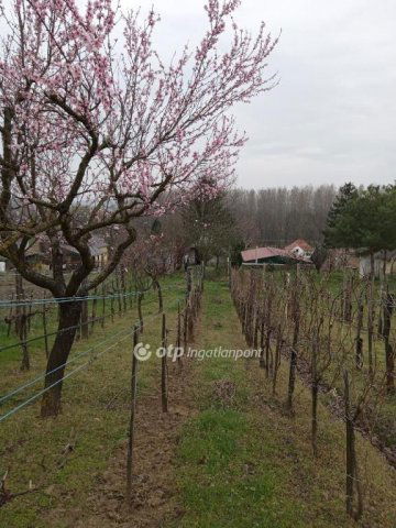 Eladó telek, Romándon 11.9 M Ft / költözzbe.hu