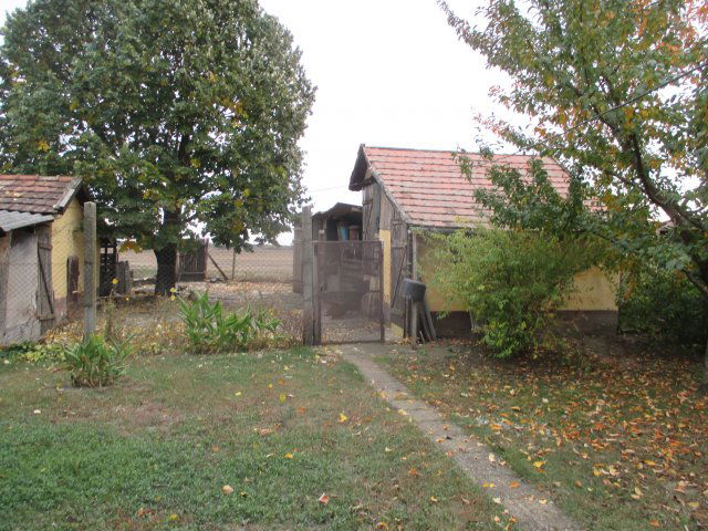 Eladó ikerház, Mezőhegyesen 3.5 M Ft, 2 szobás