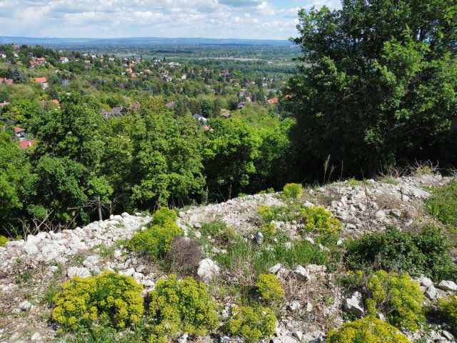 Eladó telek, Szentendrén 47.9 M Ft / költözzbe.hu