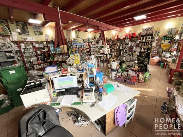 Eladó üzlethelyiség, Balástyán 189.999 M Ft, 5 szobás