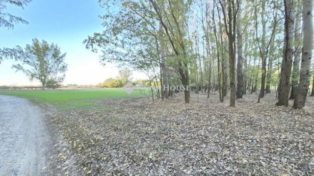 Eladó telek, Kecskeméten 28.9 M Ft / költözzbe.hu