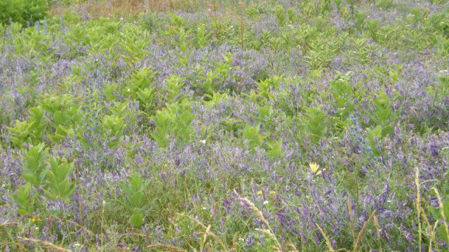 Eladó telek, Dabason 28.9 M Ft / költözzbe.hu