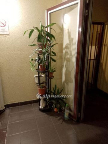 Eladó panellakás, Budapesten, XV. kerületben 52.5 M Ft