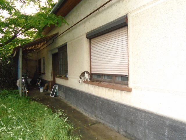 Eladó családi ház, Tiszakécskén, Kolozsvári utcában 17.9 M Ft
