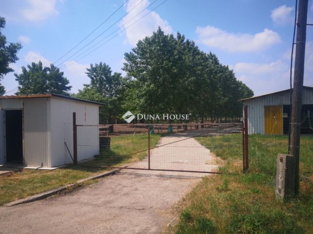 Eladó mezogazdasagi ingatlan, Kecskeméten 140 M Ft