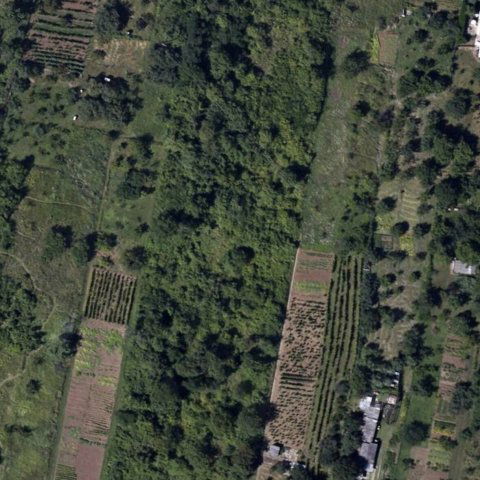 Eladó mezogazdasagi ingatlan, Miskolcon 5 M Ft