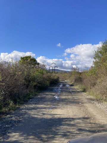 Eladó mezogazdasagi ingatlan, Szentendrén 5.5 M Ft