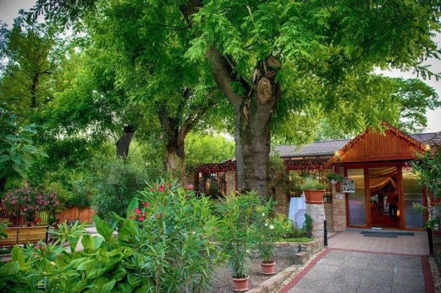 Eladó ipari ingatlan, Szegeden 320 M Ft / költözzbe.hu