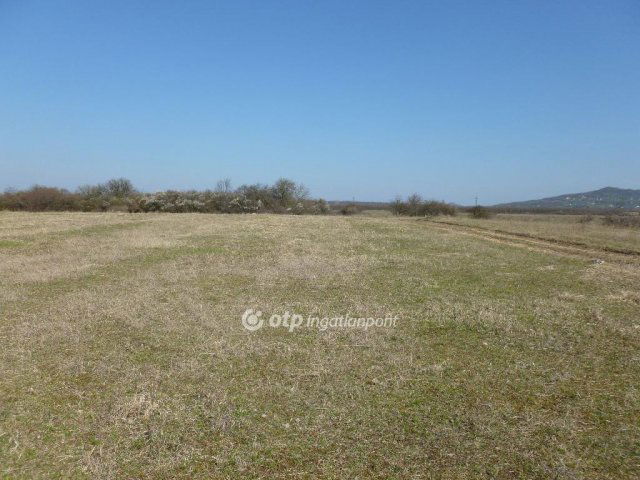 Eladó telek, Tapolcán 12.5 M Ft / költözzbe.hu