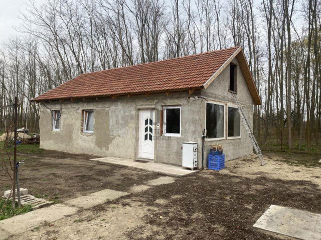 Eladó családi ház, Tápiószőlősön 15.5 M Ft, 2 szobás