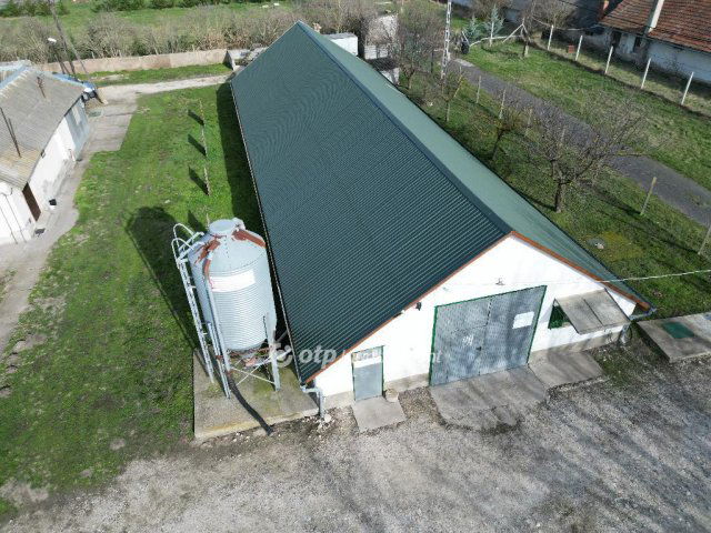 Eladó mezogazdasagi ingatlan, Gárdonyban 90 M Ft