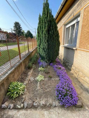Eladó családi ház, Dombóváron 22.9 M Ft, 3+1 szobás