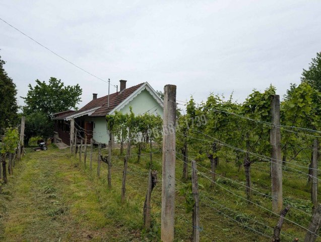 Eladó nyaraló, Csapiban 10.5 M Ft, 2 szobás