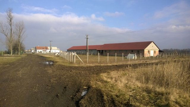 Eladó családi ház, Hajdúszoboszlón 110 M Ft, 2 szobás