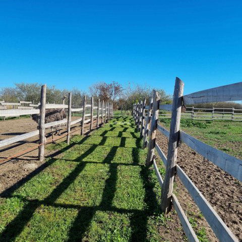 Eladó mezogazdasagi ingatlan, Mezőtúron 16.99 M Ft