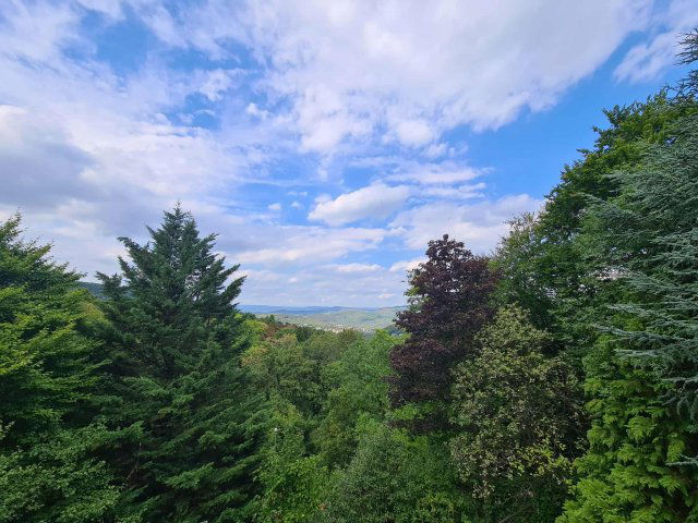 Eladó családi ház, XII. kerületben, Mátyás király úton