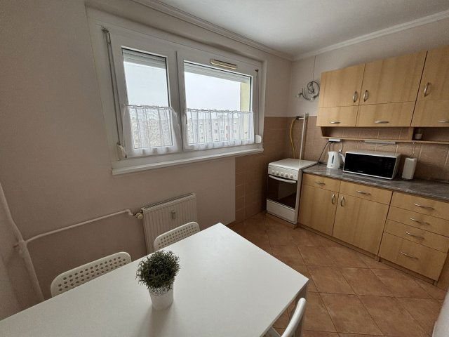 Kiadó panellakás, albérlet, Tiszaújvárosban, Rózsa úton