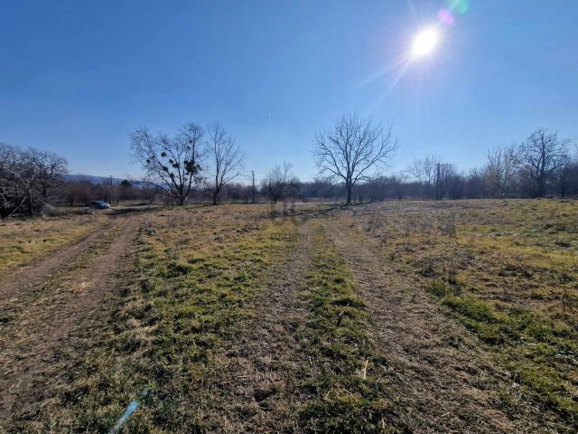 Eladó mezogazdasagi ingatlan, Környén 77 M Ft