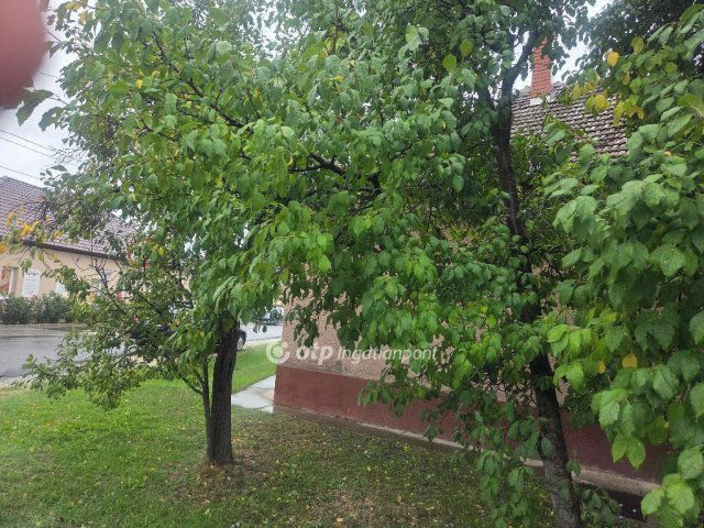 Eladó családi ház, Abonyban 41.9 M Ft, 4 szobás