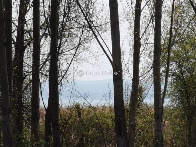 Eladó telek, Paloznakon 112.68 M Ft / költözzbe.hu