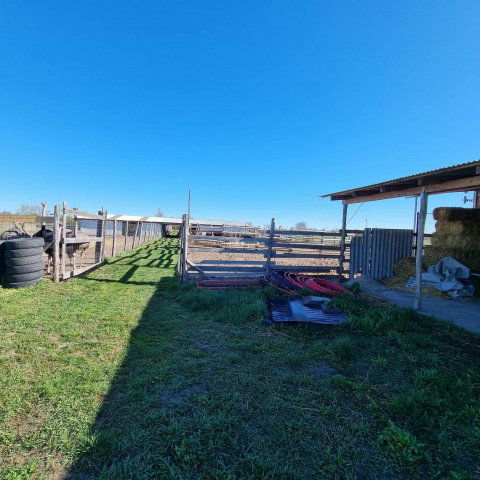 Eladó mezogazdasagi ingatlan, Mezőtúron 16.99 M Ft