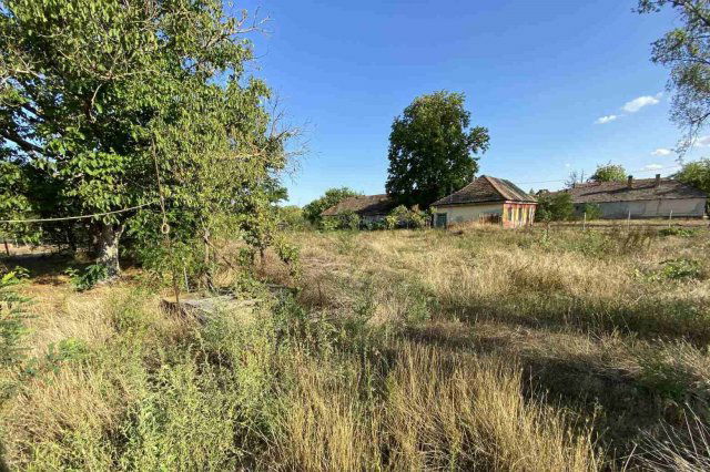 Eladó családi ház, Tatárszentgyörgyön 12.5 M Ft, 1 szobás