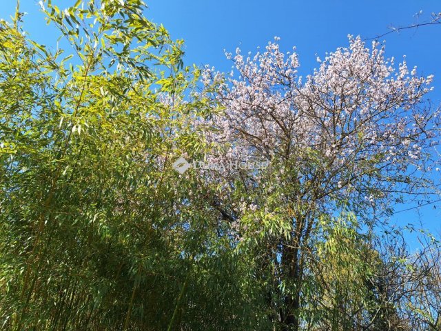 Eladó családi ház, Újbarokon 7.95 M Ft, 1 szobás