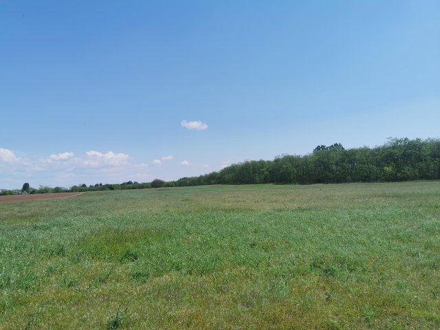 Eladó telek, Alsónémediben 880 M Ft / költözzbe.hu