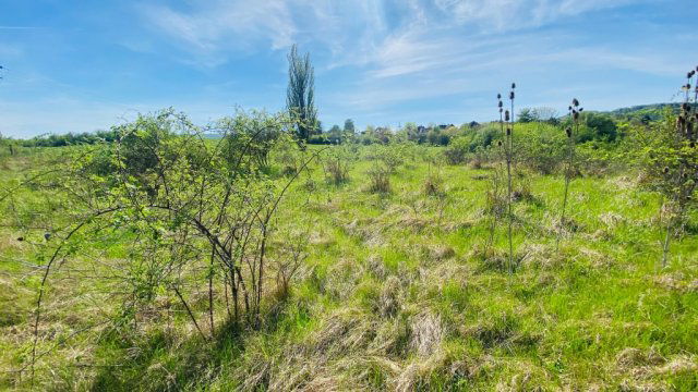 Eladó telek, Pomázon 22.5 M Ft / költözzbe.hu