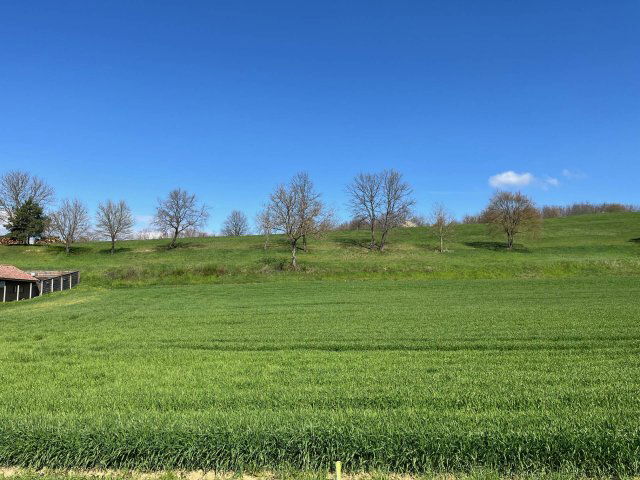 Eladó telek, Magyarszéken 12.9 M Ft / költözzbe.hu