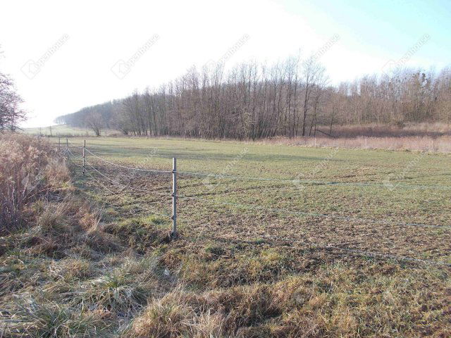 Eladó telek, Pusztamagyaródon 1.9 M Ft / költözzbe.hu