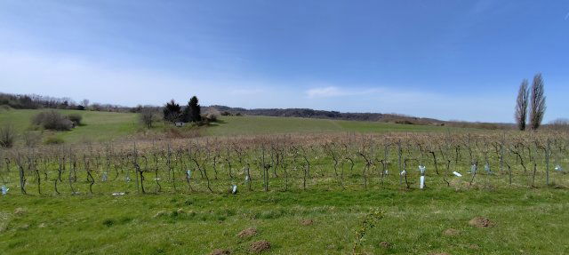 Eladó mezogazdasagi ingatlan, Zalaszentgróton 4.5 M Ft