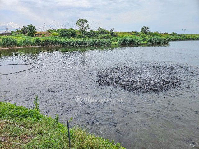 Eladó mezogazdasagi ingatlan, Mezőszilason 235 M Ft
