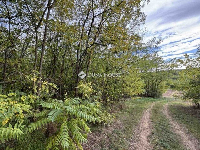 Eladó mezogazdasagi ingatlan, Sülysápon 24 M Ft, 2 szobás