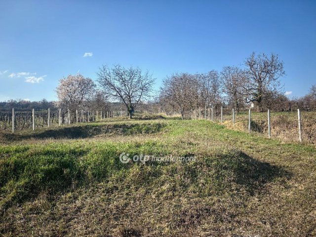 Eladó telek, Tökön 29.9 M Ft / költözzbe.hu