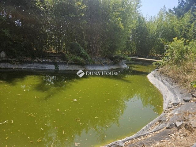 Eladó családi ház, Pogányon 69 M Ft, 3 szobás