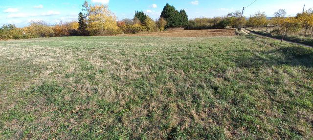 Eladó telek, Csákváron 6 M Ft / költözzbe.hu