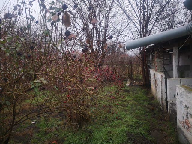Eladó családi ház, Kengyelen 14.5 M Ft, 2 szobás